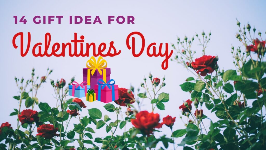 Here are 14 Gift ideas you Can Prefer to Giving To Your Partner On Valentine's Day. 2024 Valentines Day List