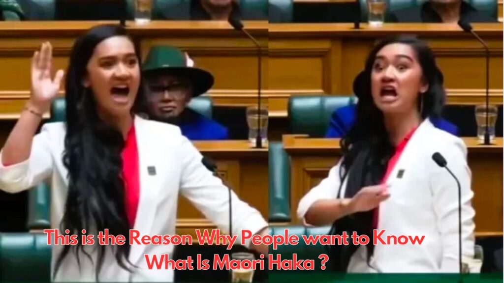 This is the Reason Why People want to Know 
What Is Maori Haka?
