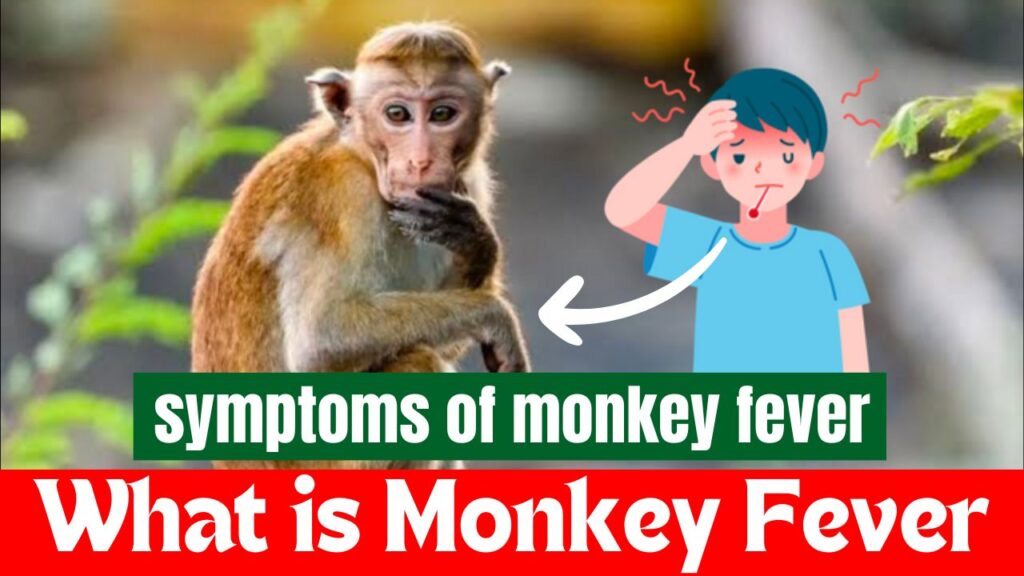 Karnataka Monkey Fever & Monkey Fever Karnataka Symptoms