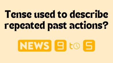 Tense used to describe repeated past actions?