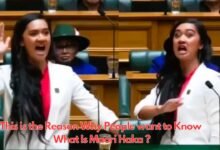 This is the Reason Why People want to Know What Is Maori Haka?