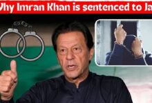 Why Imran Khan is sentenced to Jail