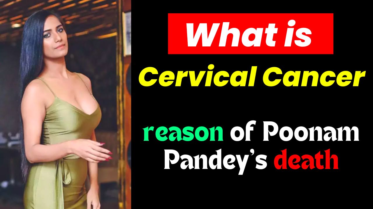 What is Cervical Cancer, Its Symptoms, Causes, Treatment