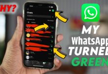 Why my WhatsApp turned green? what should i do?